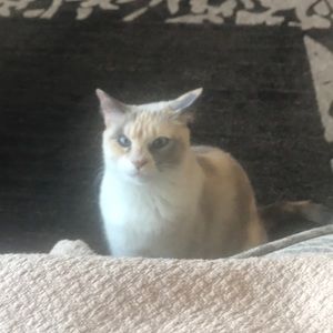 Meet your Posher, Lori